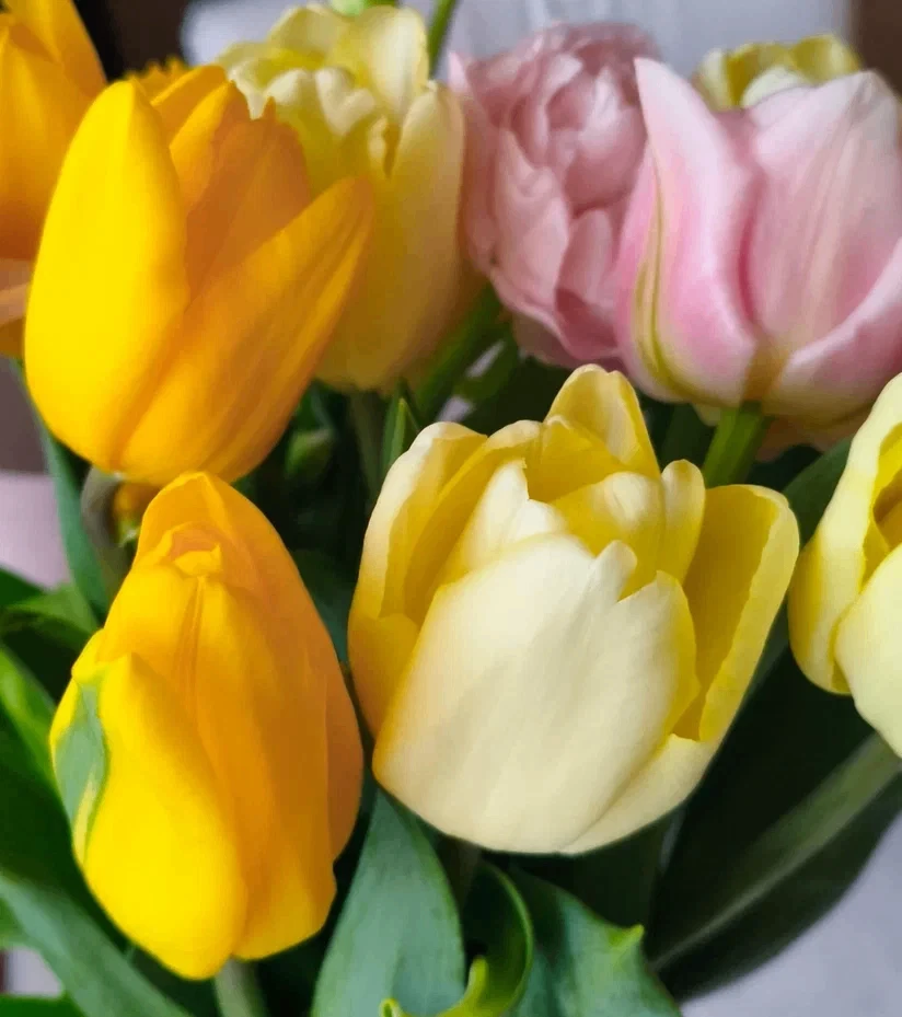 Милые девочки, с наступающим весенним праздником!🌷