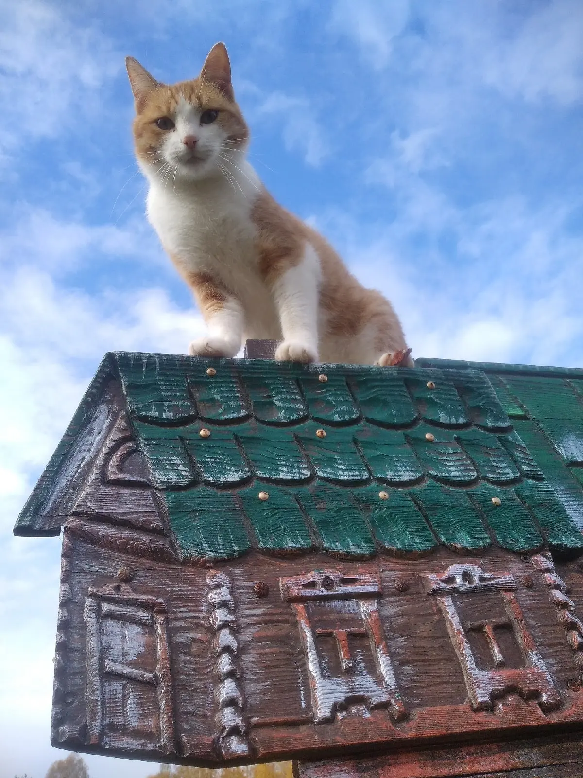 Ярик
