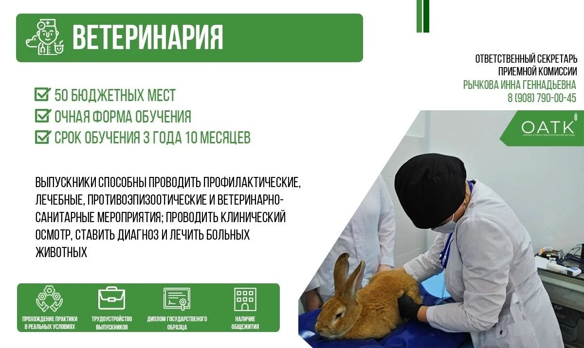 🩺 Сегодня знакомим Вас с направлением обучения «Ветеринария» в Омском аграрно-технологическом колле
