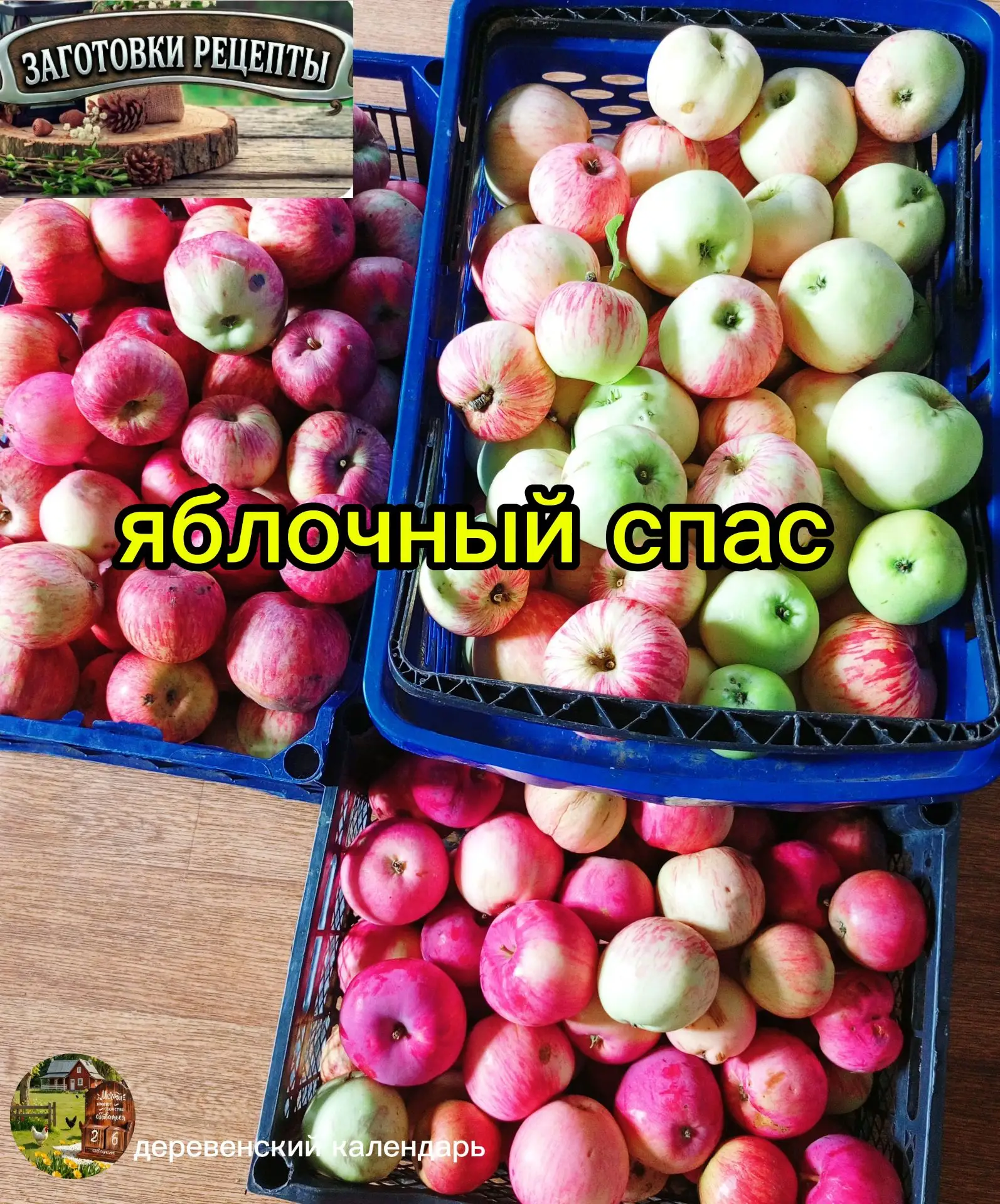 🍎 Что приготовить из яблок на Яблочный Спас: