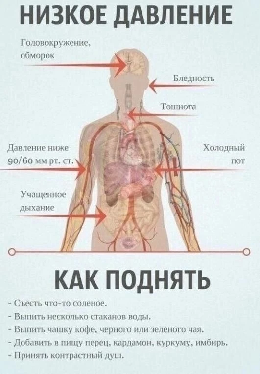 #башдонъя #кәңәш