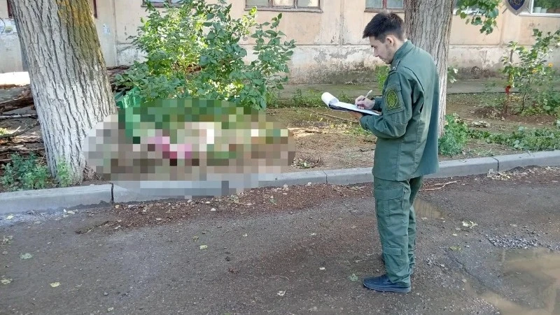 🚨 Директора астраханской УК посадят за смерть женщины

Руководитель компании не организовала опилов