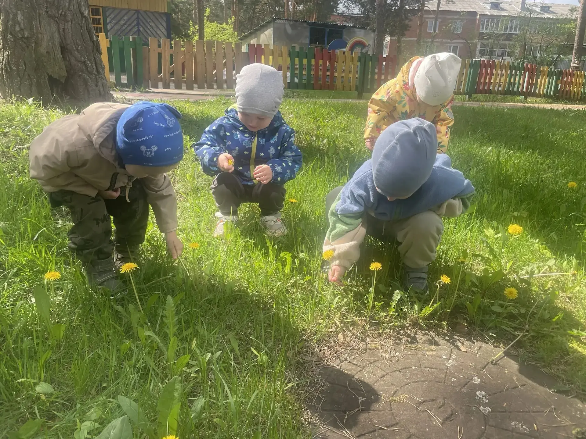 🌱13 мая весь мир отмечал День одуванчика, и самые юные воспитанники из группы 24 структурного подраз