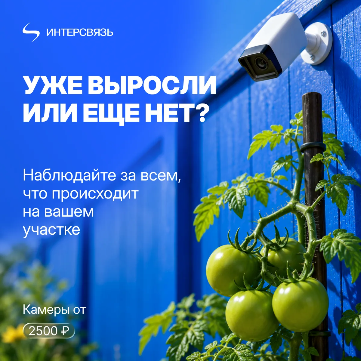 Все под контролем!

Установим камеры в теплицу, гараж, сарай, погреб и куда скажете. Чтобы вы могли 