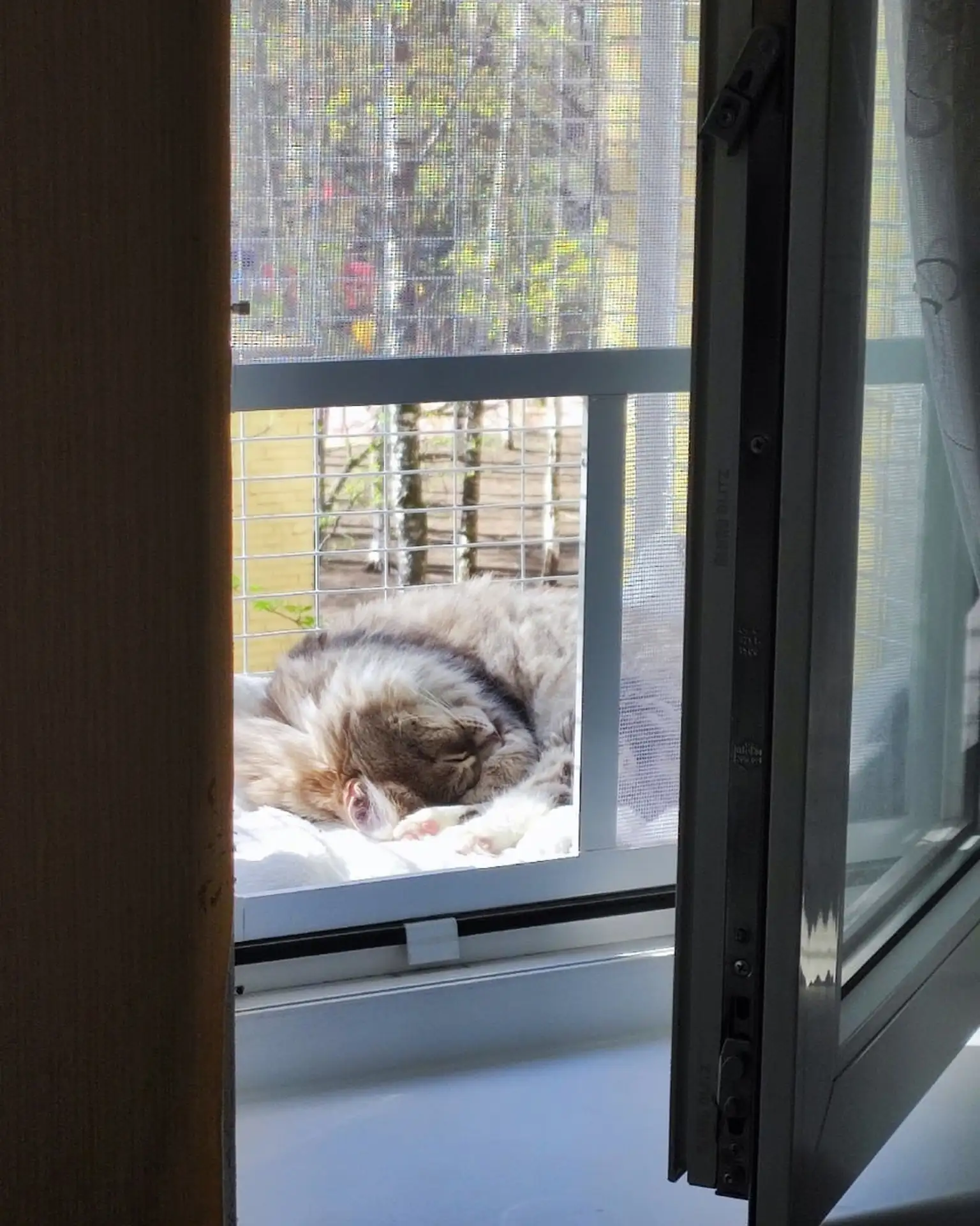 Наблюдательный пост работает в спящем режиме 💤