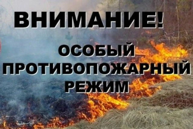 Лето приносит не только долгожданное тепло, но и серьёзные испытания для пожарных и спа...