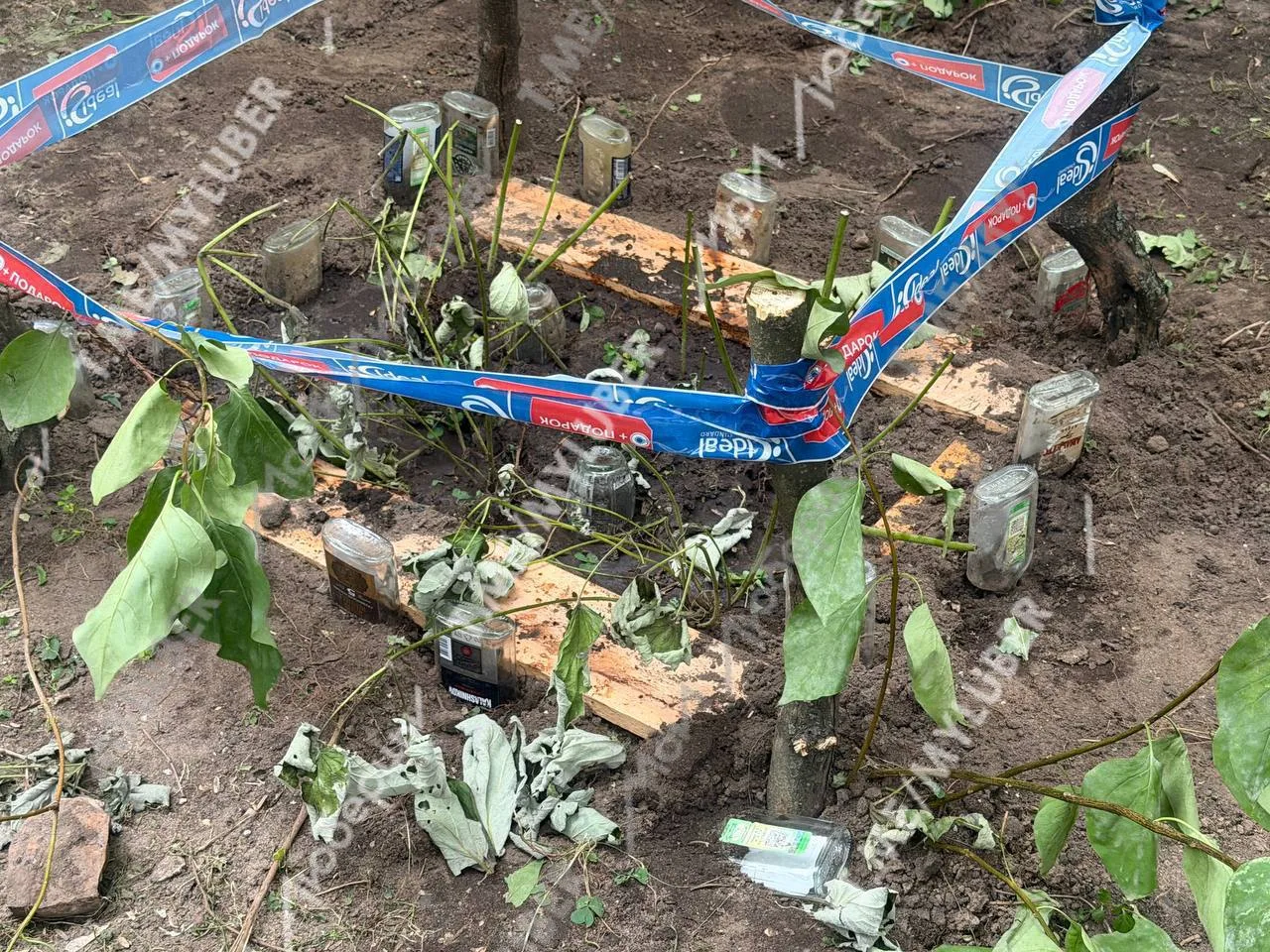 Необычные грядки появились во дворе на Смирновской в Люберцах