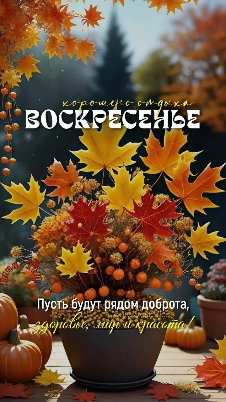 Доброе утро! 🍁
