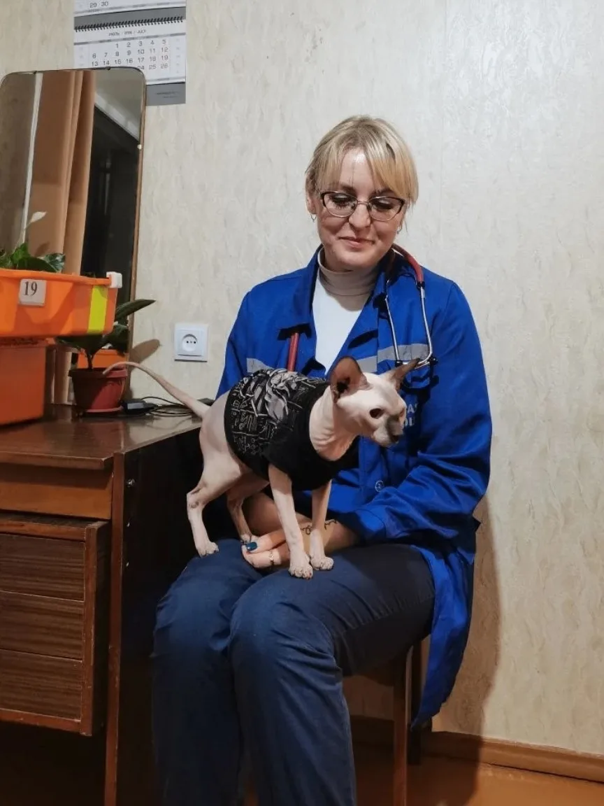 😻Которубрика!
#котики_страны_03 #приложикота #набольноеместо