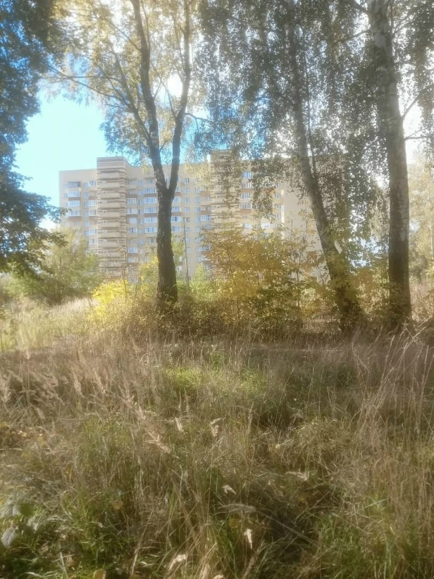 Вонючий ручей у Парижской коммуны. Неужели уйдет в прошлое? Брагинцы неоднократно десят...