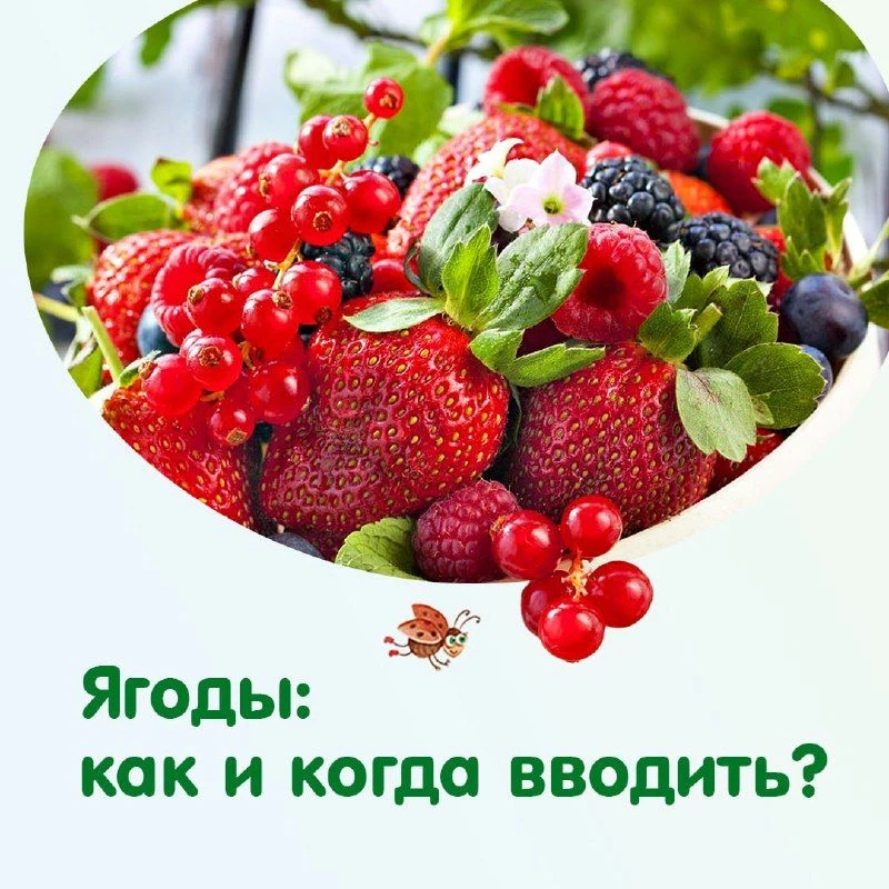 ЯГОДЫ в рационе малыша: как и когда вводить? 

Это один из популярных вопросов летом. Постарались во