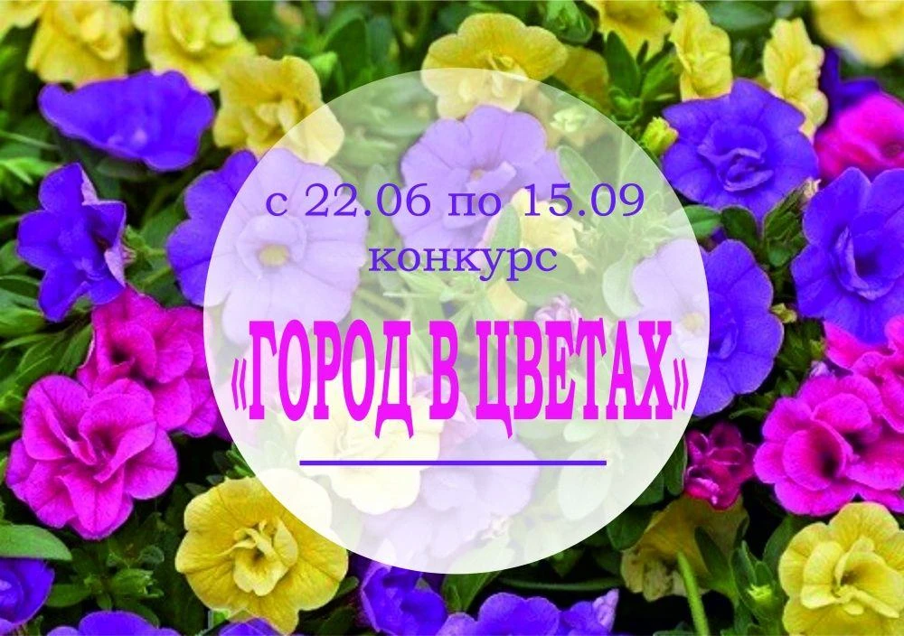 С 22 июня в центрах местной активности №№ 6, 7, 8 Октябрьского района стартует конкурс по озеленению