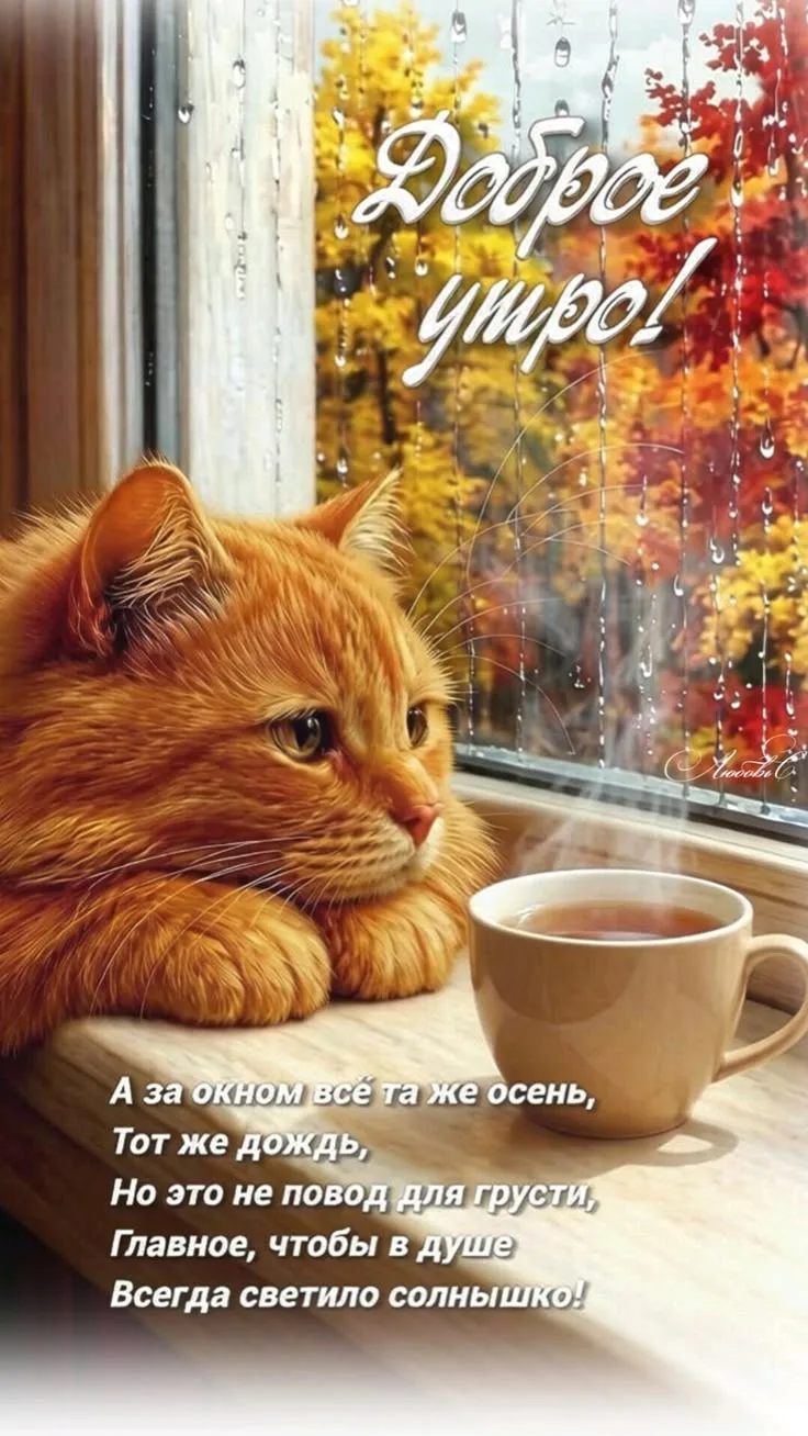 Поздравления для Настроения💌