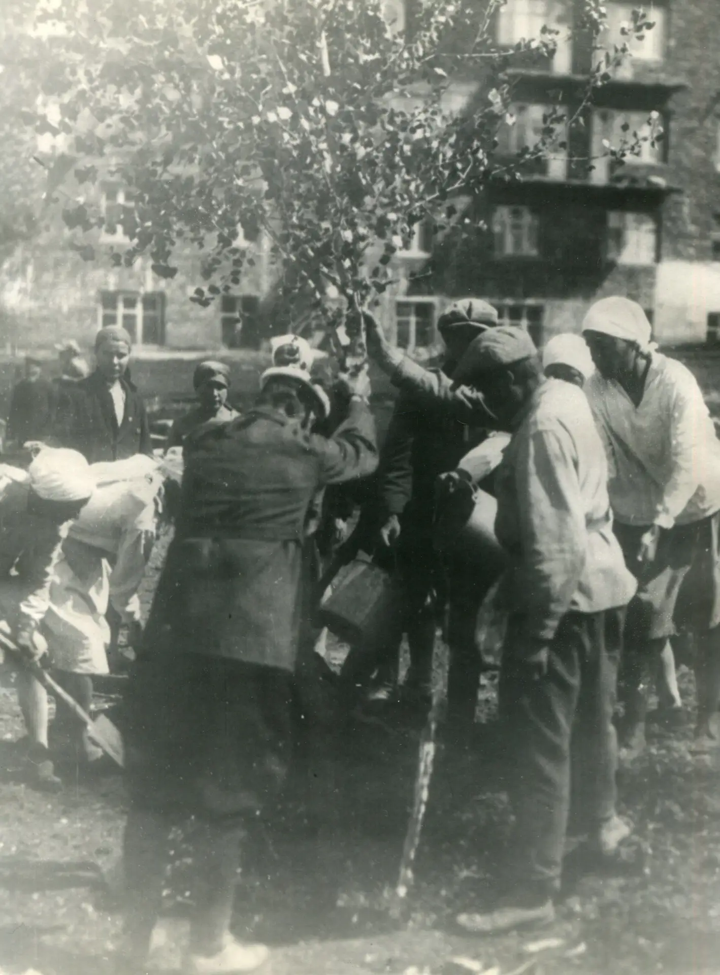 Посадка первого дерева в Магнитогорске. 1930-е годы. Из фондов ОГАЧО.