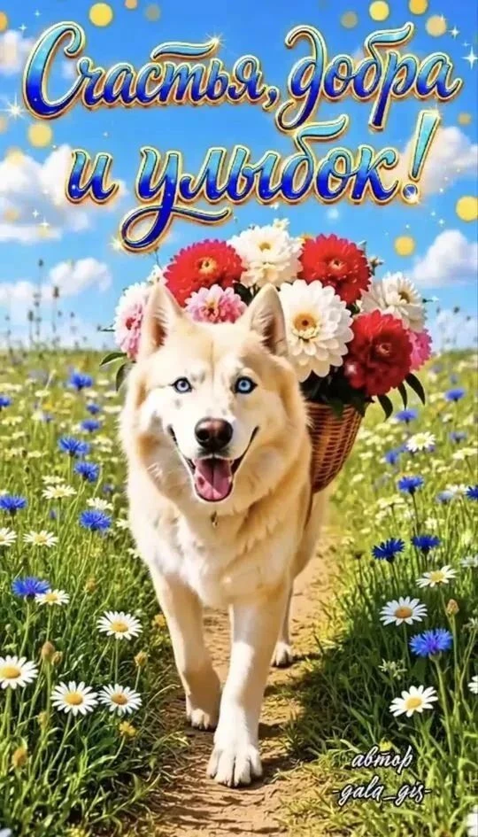 Всем доброго дня!!!!!!