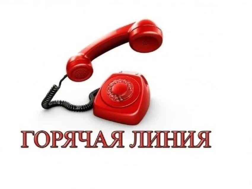 По 19 июня организована горячая линия по вопросам незаконного распространения и потребл...