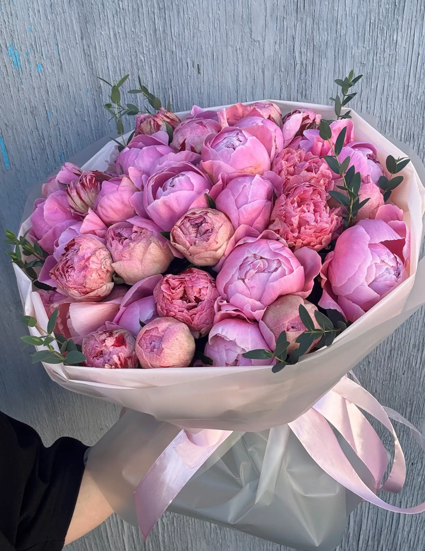 Пионы на выписку- это шикарно💕