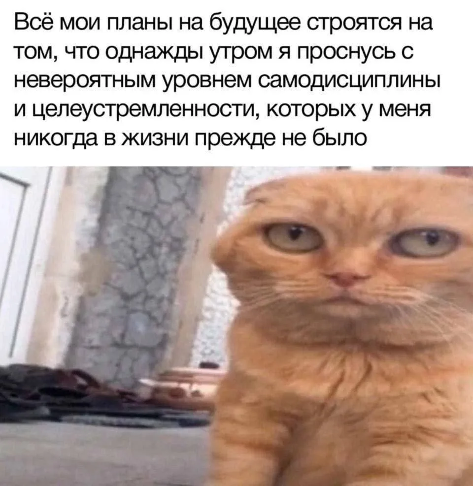 👉 Психолог Саша