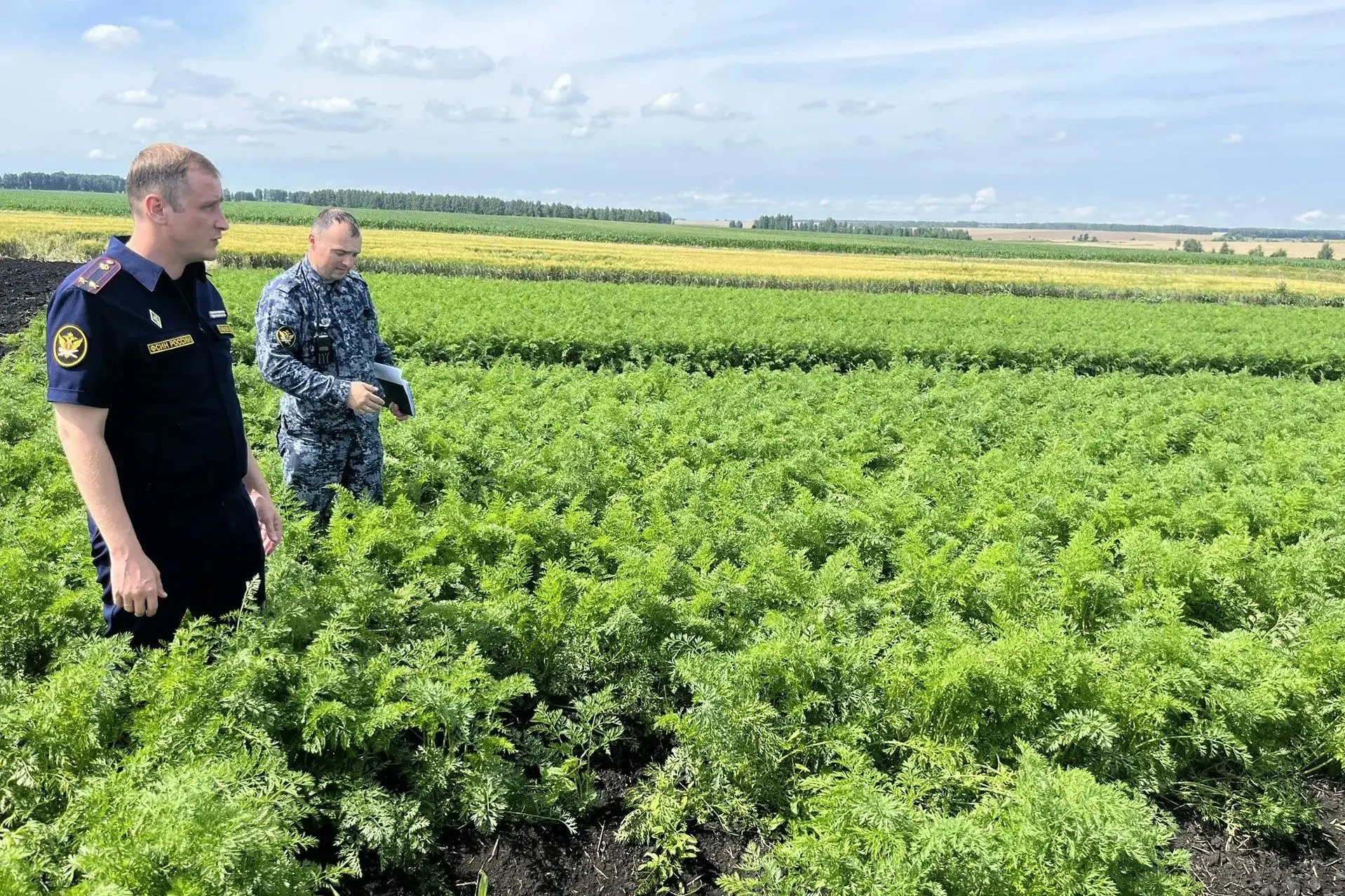 В ИК-2 УФСИН России по Ульяновской области развивают сельскохозяйственное производство для нужд угол