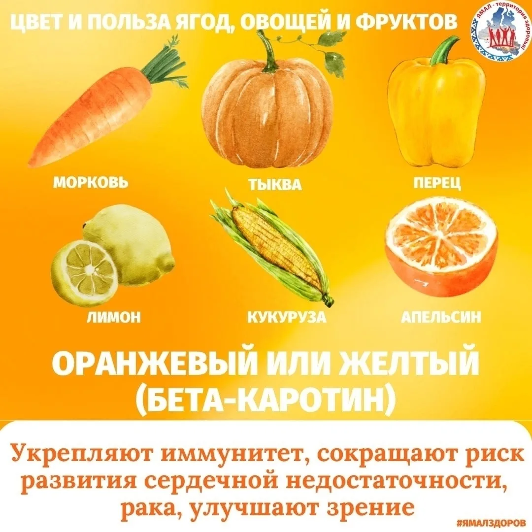 Чтобы быть здоровым, нужно съедать каждый день минимум 5 порций свежих овощей и фруктов (не менее 40