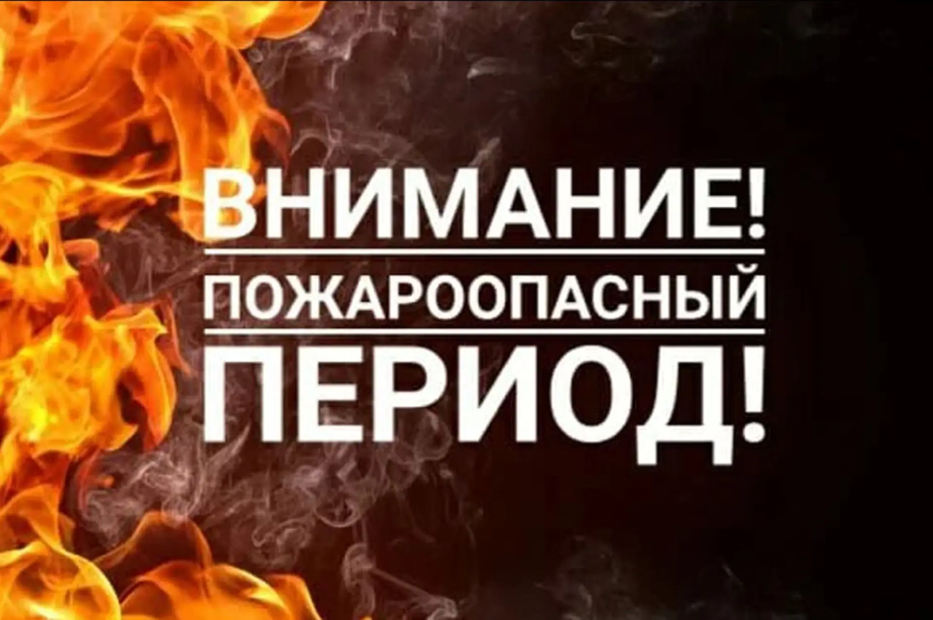 С 10 августа 2026 года на территории Нижнедевицкого муниципального района введен особый...