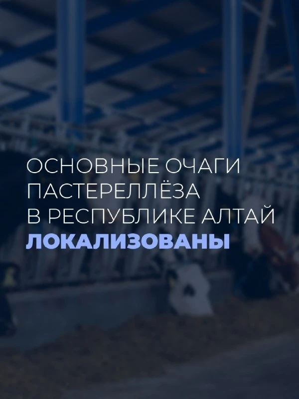 Онгудай | Горно-Алтайск | Майма | Чемал🏡  Андрей Турчак в ходе работы первой весенней сессии Госсобр