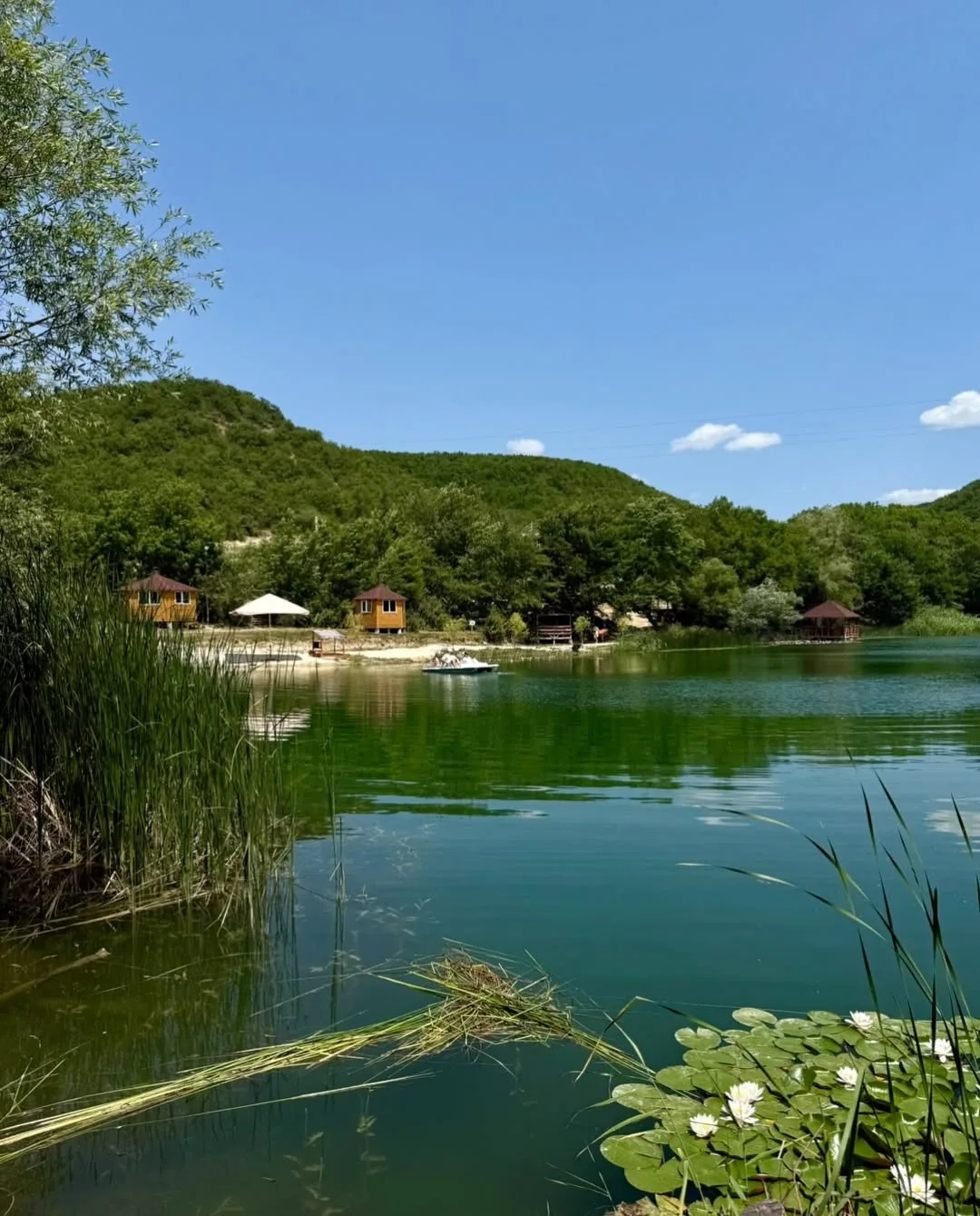 🌿 База отдыха «Родное» в Байдарской долине