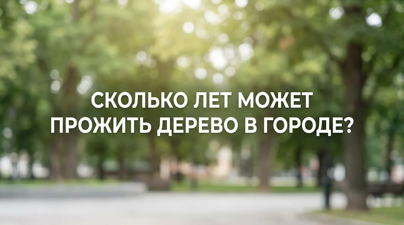 📢 Сколько лет может прожить дерево в городе?