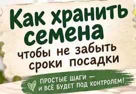 Сохраняем семена без путаницы ✅