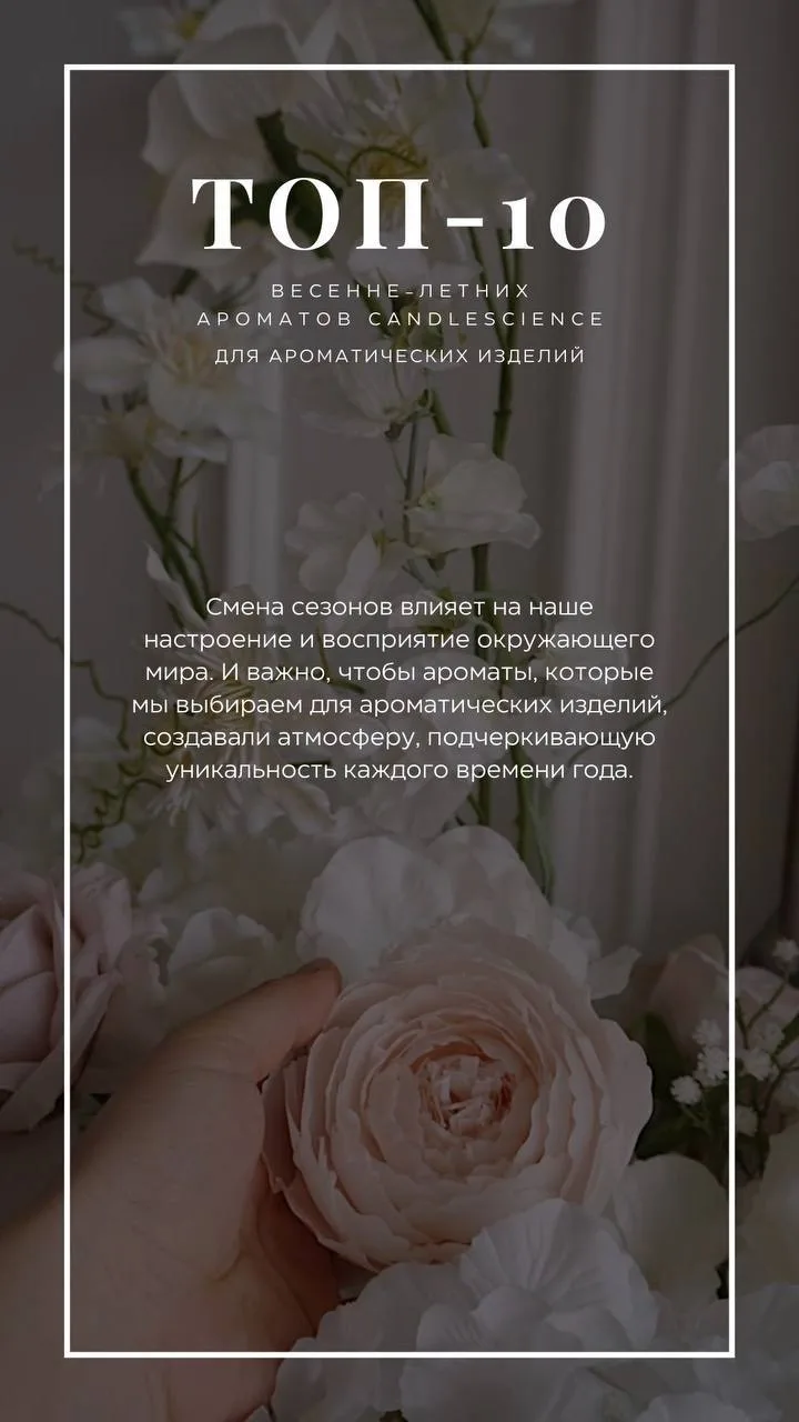 Ребята привет❤️