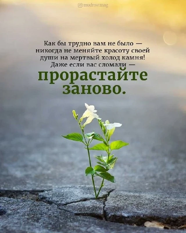 Вязание спицами и крючком