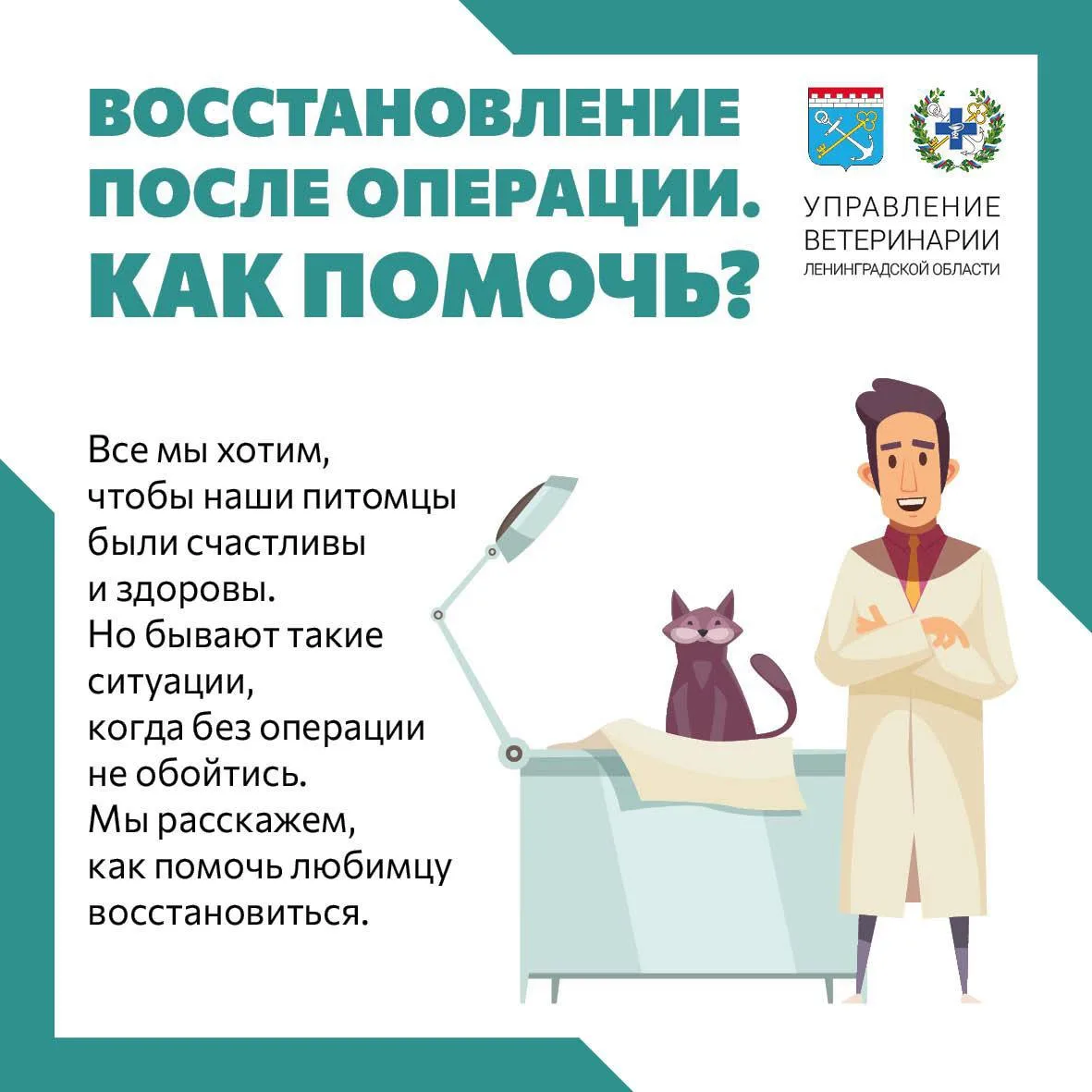 Операция у питомца это волнительный момент. Но самое главное - помочь другу восстановится.
