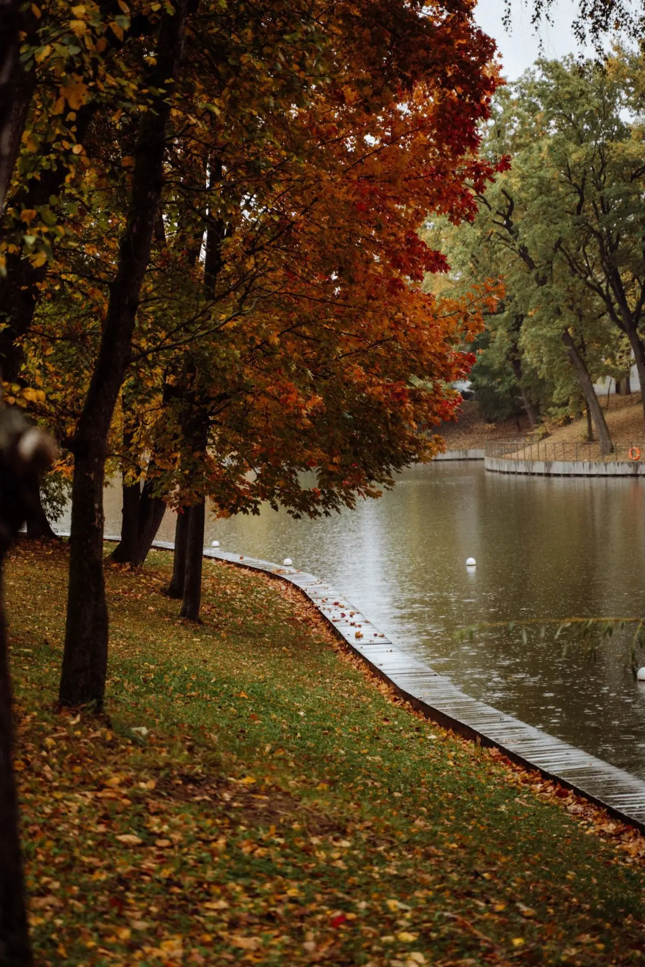 Останкинский парк и ВДНХ этой осенью — просто восторг😍