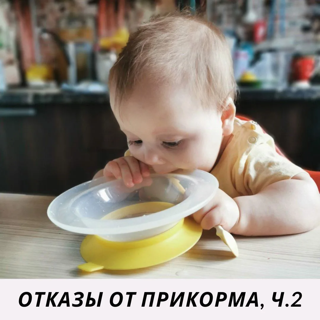 ОТКАЗЫ ОТ ПРИКОРМА

Ранее в сообществе обсуждали, какие методы можно применить при отказах в начале 
