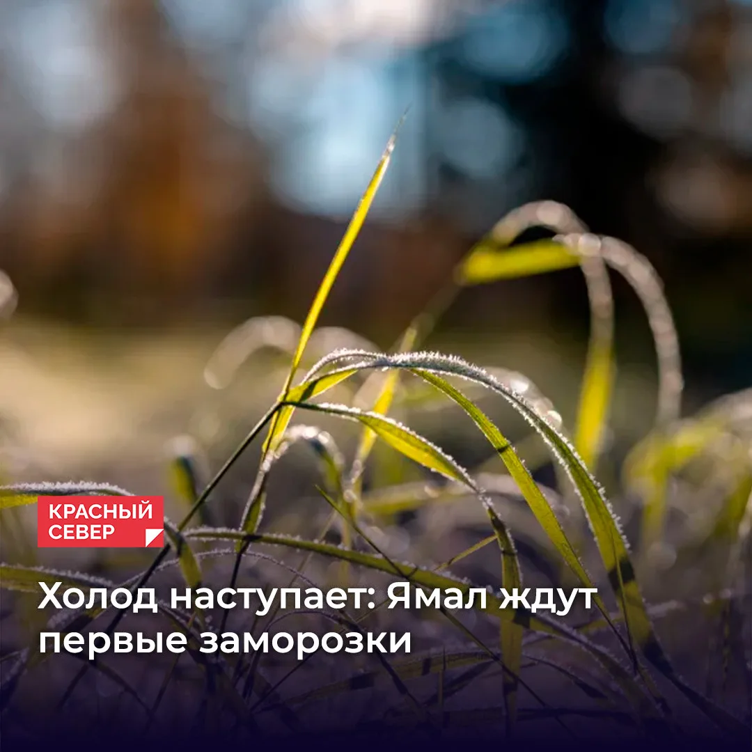 По данным Обь‑Иртышского управления по гидрометеорологии и мониторингу окружающей среды...
