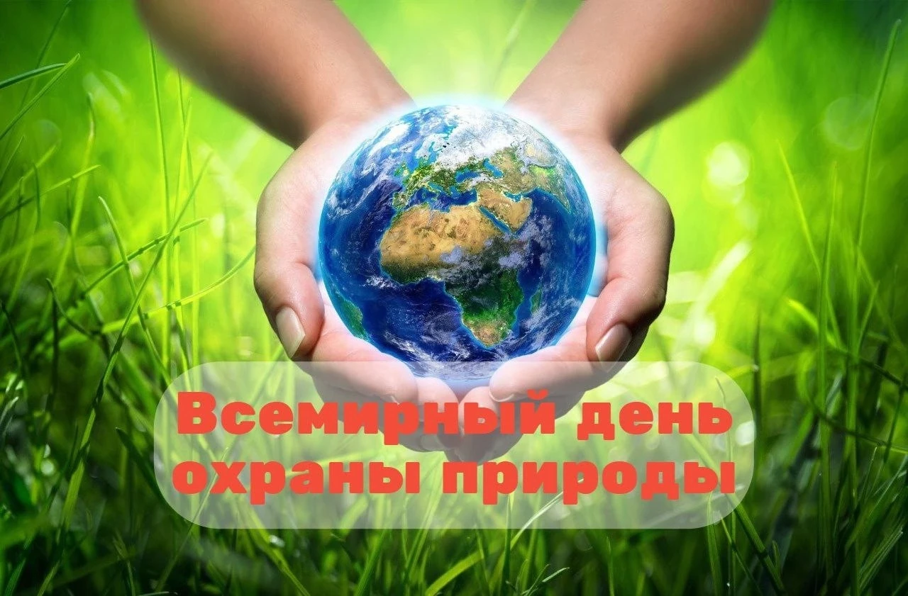 28 июля Всемирный день охраны природы🌎

Ежегодно 28 июля в мире отмечают Всемирный день охраны прир