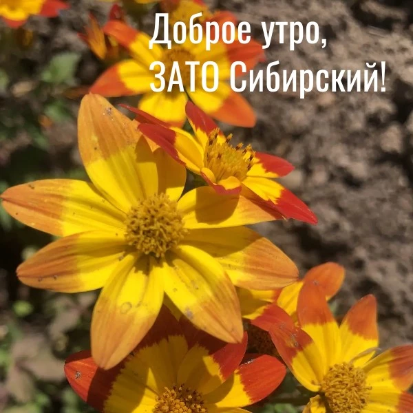 🙂Доброе утро вторника, ЗАТО Сибирский!

Продолжает действовать штормовое предупреждение №15-3: в Ал