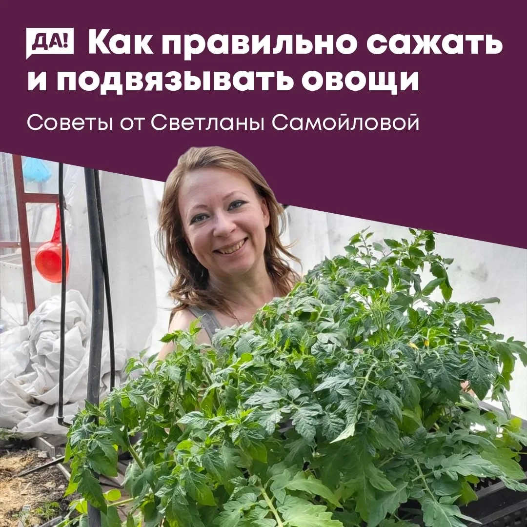 Самое время высадить овощи не только в теплицу, но и в открытый грунт, если не сделали это раньше. 
