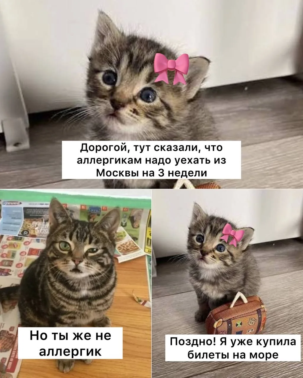 😷 Аллергикам лучше уехать из Москвы на 2-3 недели в период пыления березы — советуют эксперты

Масс