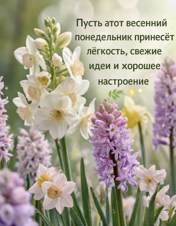 📅 ДОБРОЕ УТРО, ДРУЗЬЯ! НАШ ЕЖЕДНЕВНЫЙ КАЛЕНДАРЬ СОБЫТИЙ 📅  11 мая — понедельник 🗓️ День Республики в