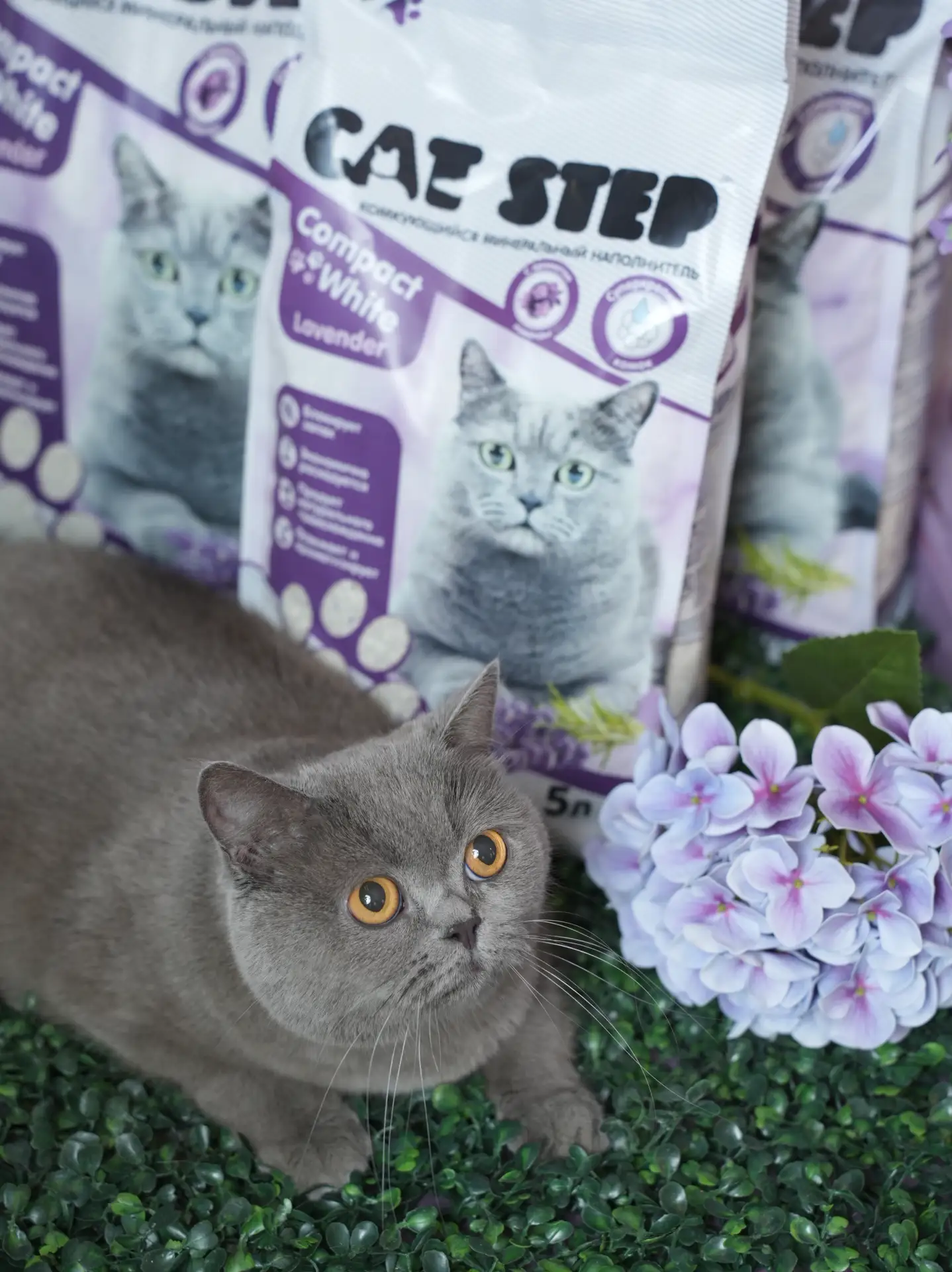 Наполнитель CAT STEP Белый Комкующийся Лаванда /Compact White Lavender — не просто гигиена, это наст