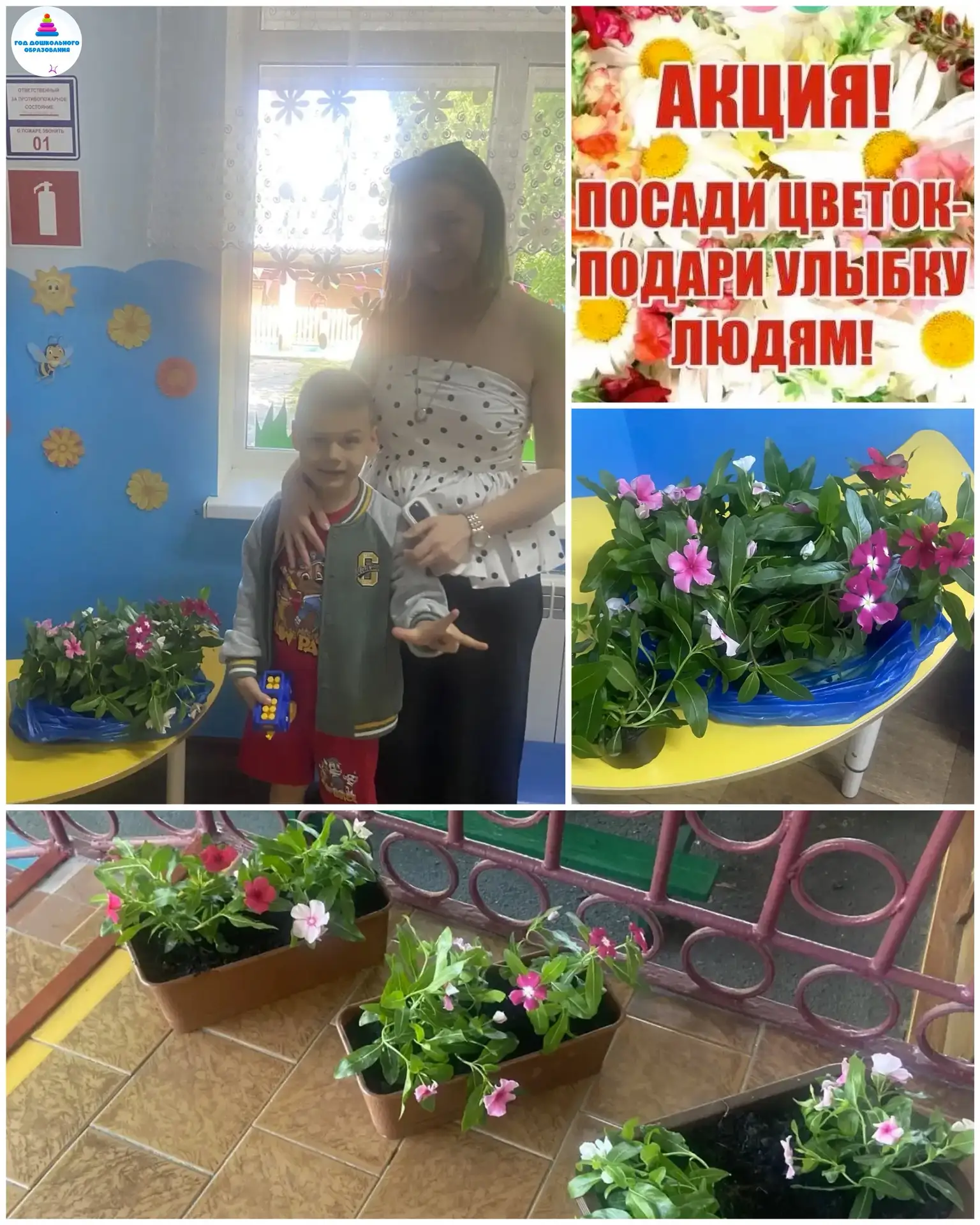 Группа «Ромашки» 🌸 участвует в акции «Посади цветок - подари улыбку людям»🌺

Воспитатели: Форманюк