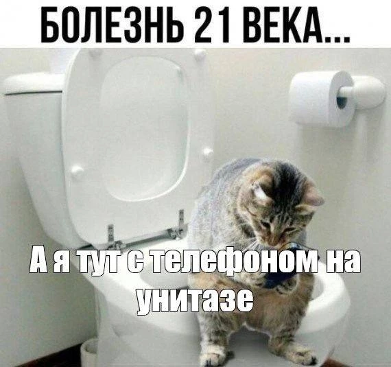 Ходим в туалет всей семьёй  Жалобы у всей семьи (шесть человек: двое детей, бабушка с дедушкой, мама