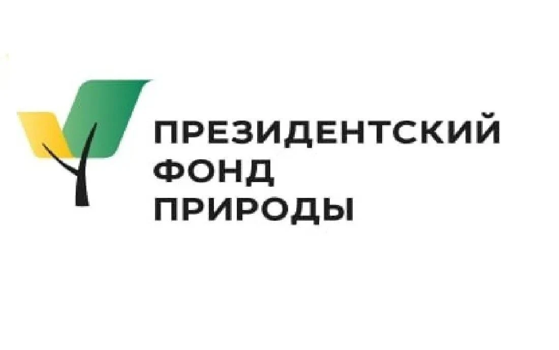 Сегодня была на семинаре, где нам объяснили критерии по которым оценивается заявка на к...