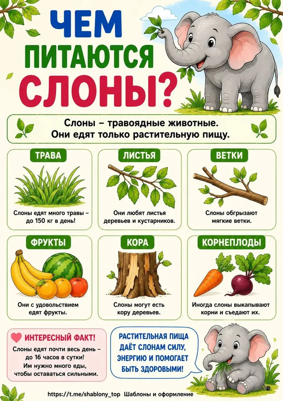 Изображение 2 к публикации «Шаблоны| Поделки| Образование»