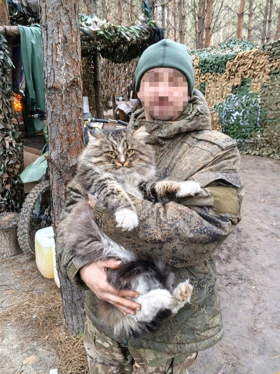 Прибился к нам зимой — тощий, замёрзший, один глаз закрыт. Сейчас вон какой барин 😼