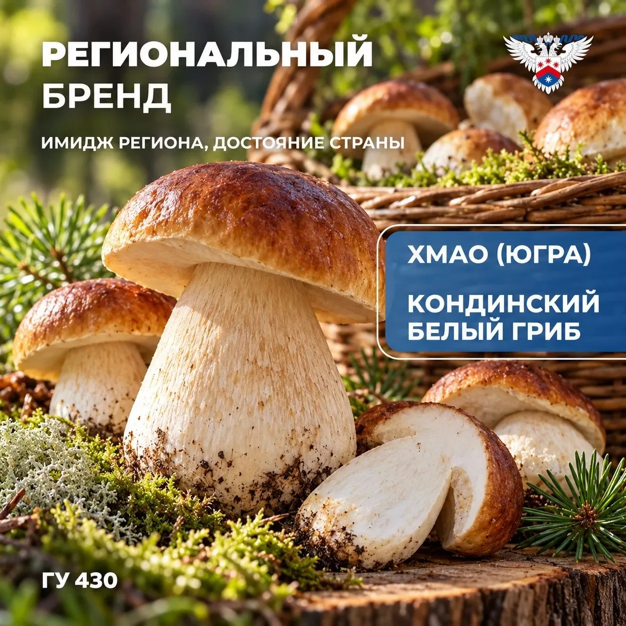 Гриб, который стал брендом: новая регистрация в разгар грибного сезона