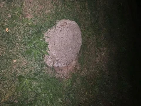 - У дома возле тратуара наполовину открытый колодец. Можно провалится, - предупреждает ...