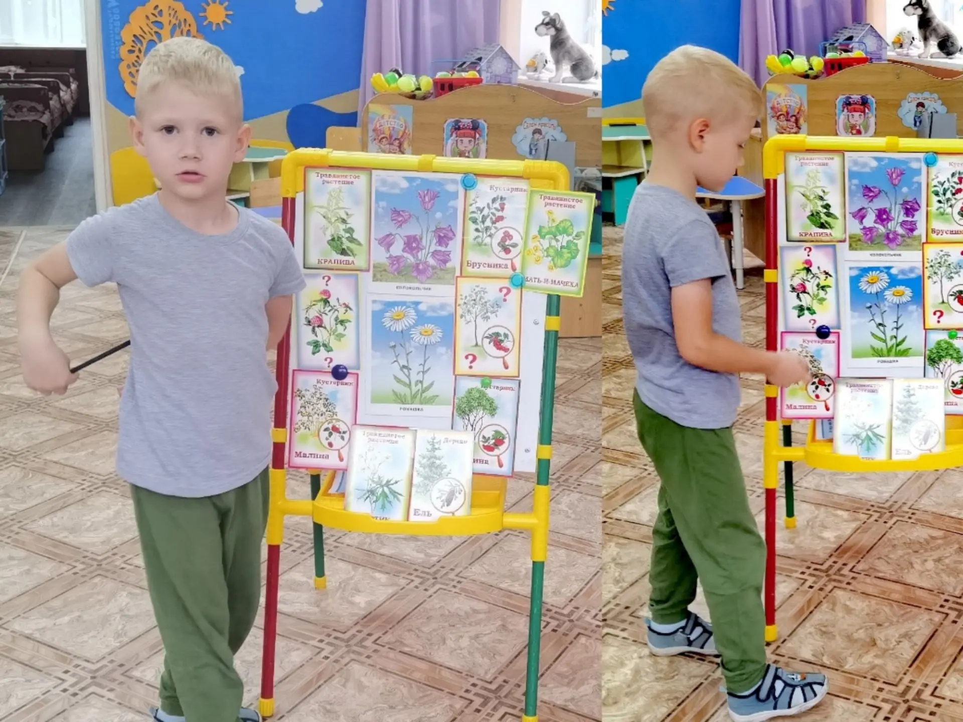 Секреты природы для маленьких исследователей! 🌿