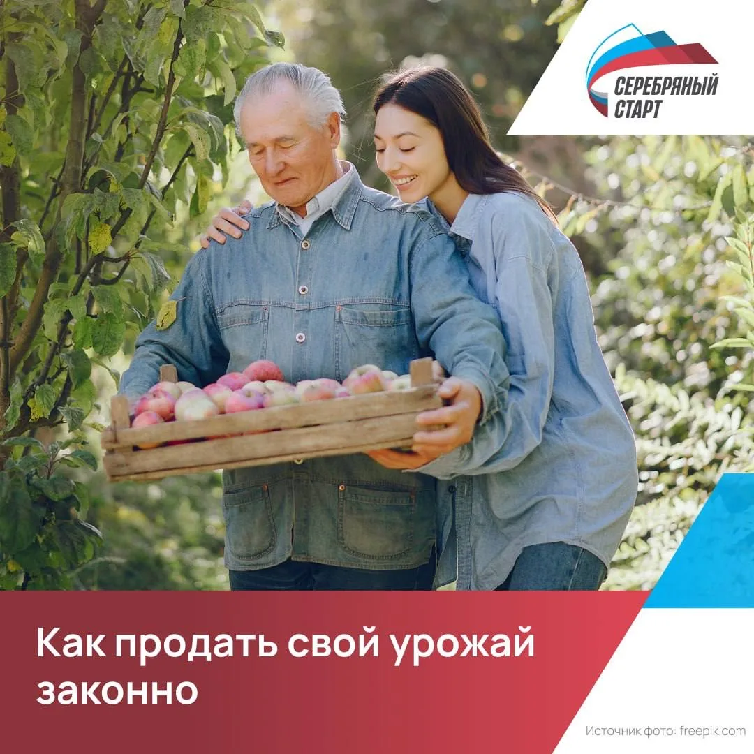 🌱 Свой урожай на продажу: как это сделать по закону